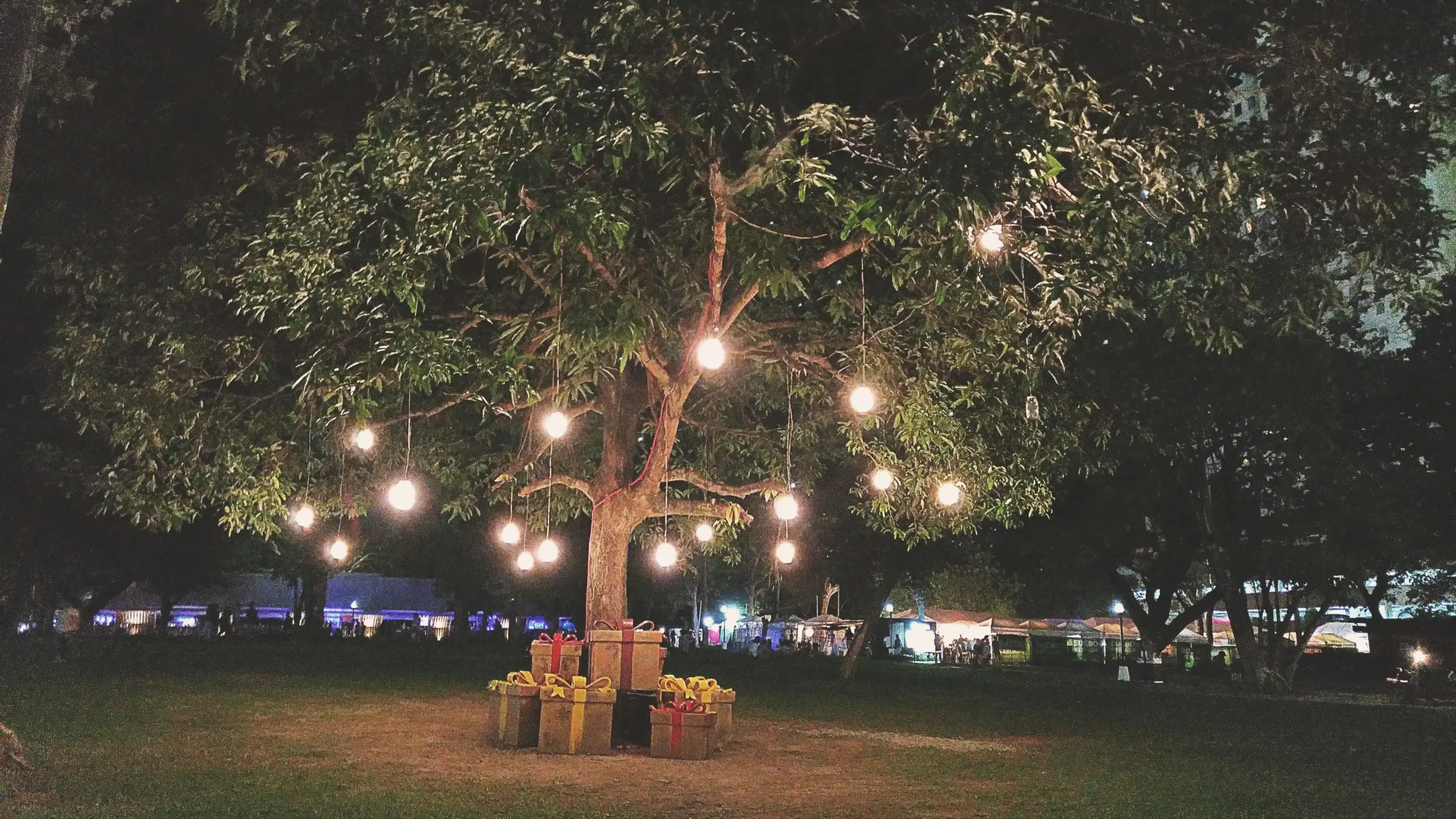 1_11zon Garden Lighting Inspiration for Outdoor Spaces