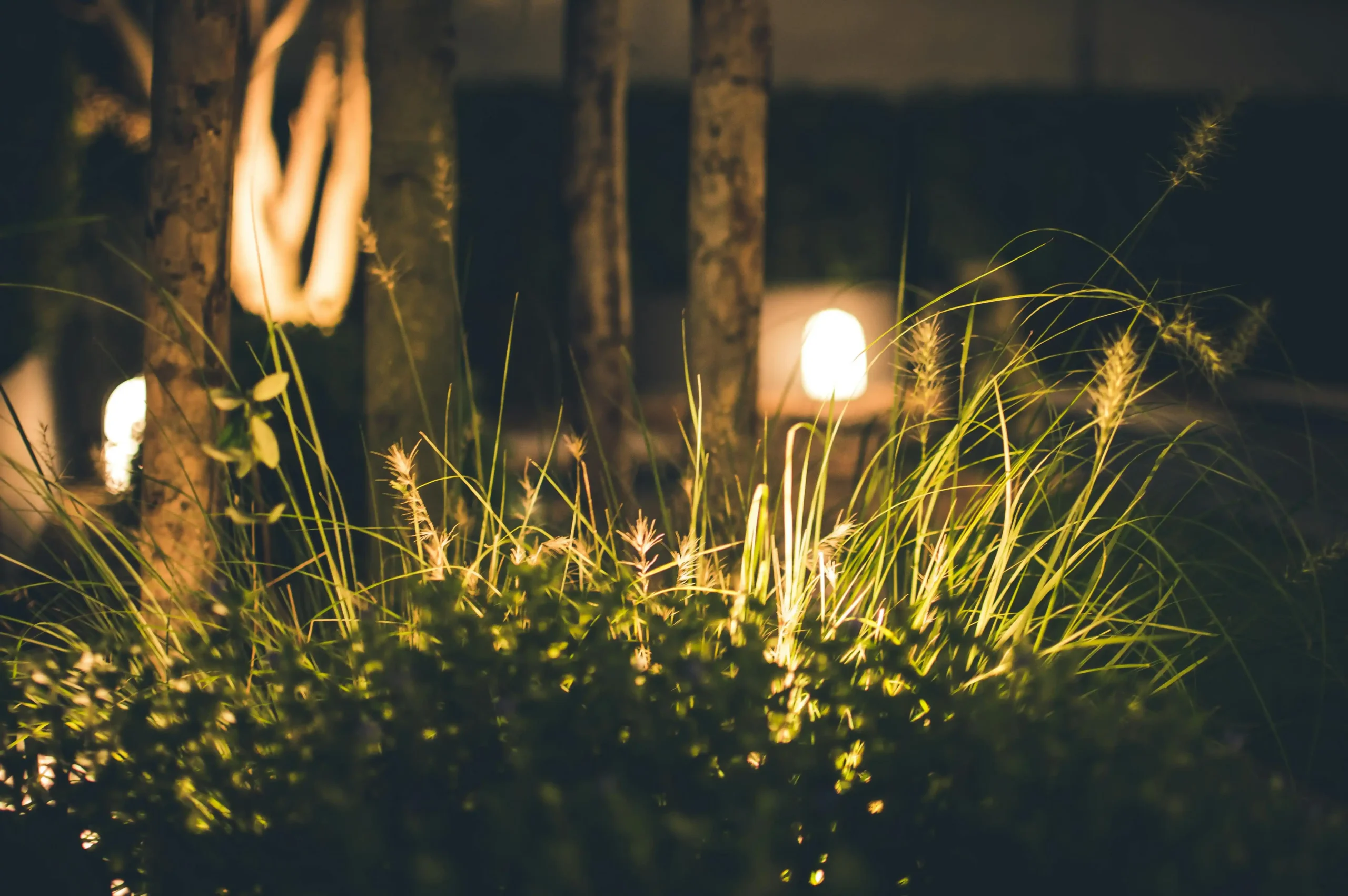 2_11zon beautiful garden lighting