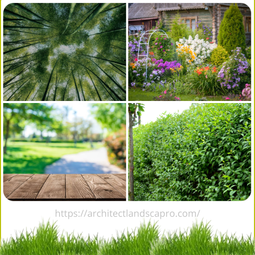 curved garden pathway design inspiration