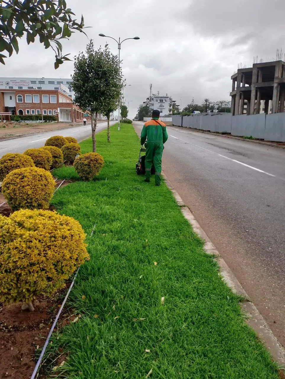 WhatsApp-Image-2025-04-29-à-15.57.23_3d1f760e-_1_ How to drive a lawn mower properly for even mowing