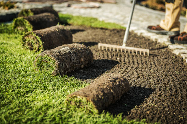 Close Up Of Worker Raking Dirt And Preparing To Install Rolls Of Soil And Turf. Applying mulch to flower beds to prepare your garden for fall