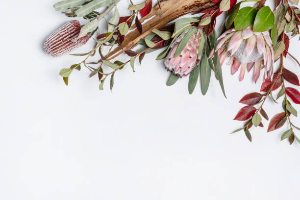 istockphoto-1320932777-612x612 Native plants for eco-friendly landscaping