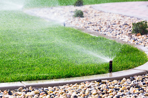 Automatic sprinklers watering lawn Using a smart irrigation system for effective lawn care