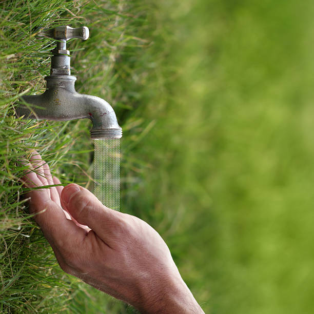Life and water, nature and lifestyle concept. Sustainable Landscaping Water-Wise