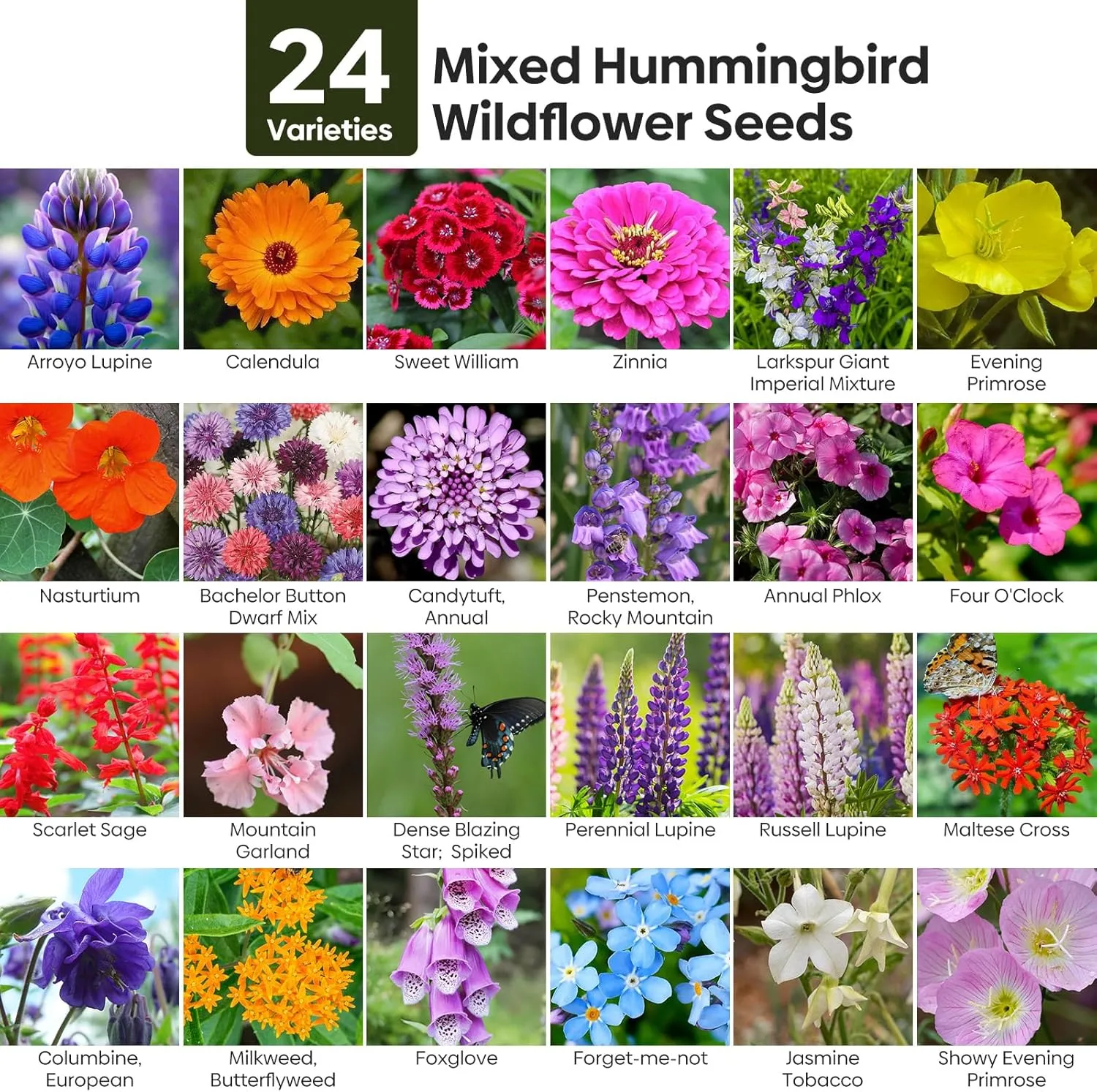 81CSGBlocJL._AC_SL1500_ Step-by-step flower planting in a backyard layout with defined garden beds