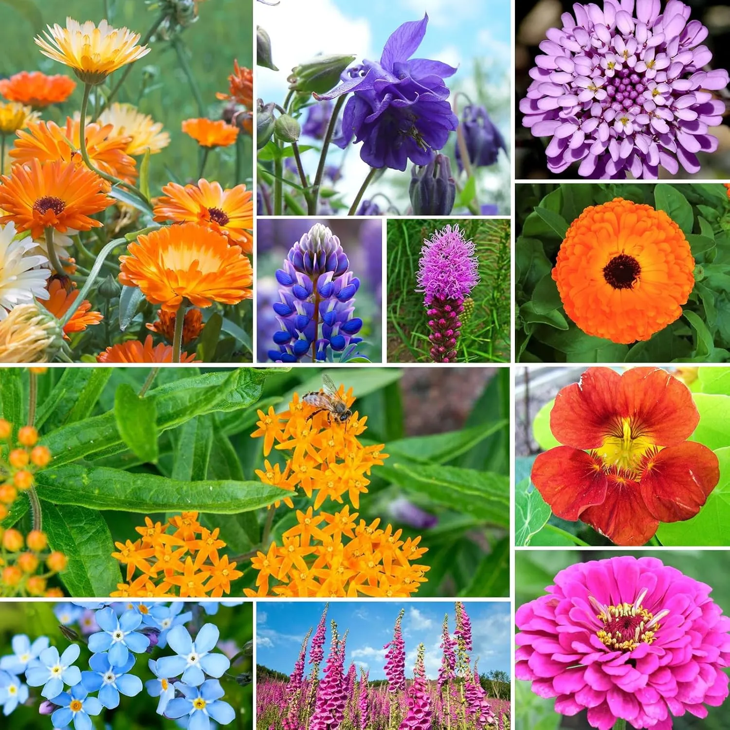 81PTGM7FmmL._AC_SL1500_ Beginner-friendly backyard flower layout with compost-rich soil preparation
