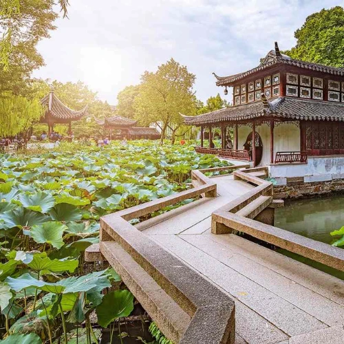 Bamboo and plum blossoms in a classical Chinese courtyard