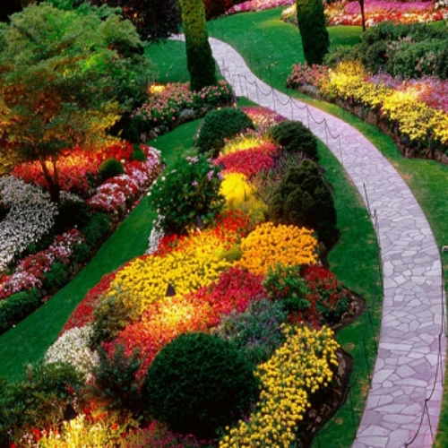 Colorful perennial flower border in a landscaped backyard