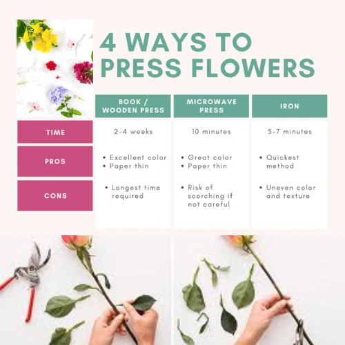 Design sans titre (28) Book flower pressing method with added weights