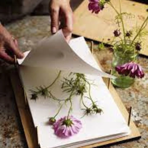 Design sans titre (29) DIY greeting card decorated with pressed flowers