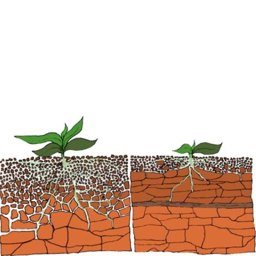 No-till gardening method to protect soil structure