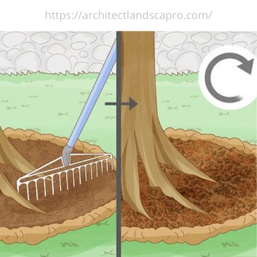 restoring garden soil nutrients