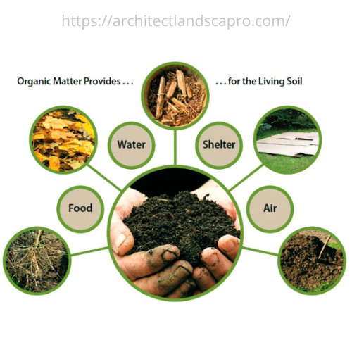 improve garden soil naturally