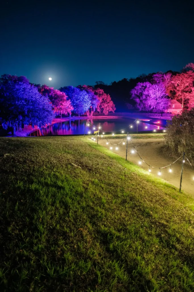 best solar lighting 3 solar lights illuminating a garden path at night