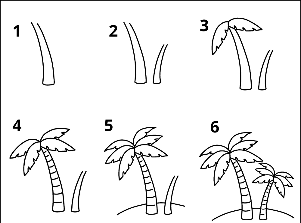 How to draw palm trees