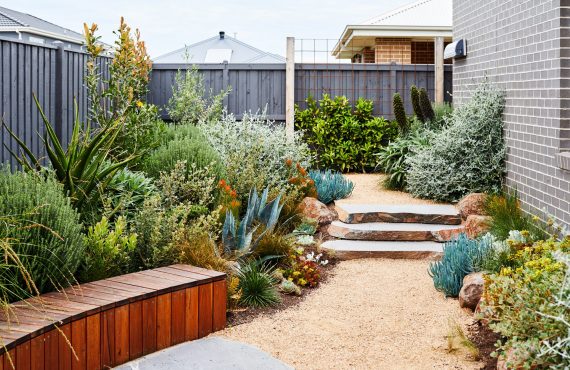 planting3 Mulched native plant bed in a sustainable garden layout