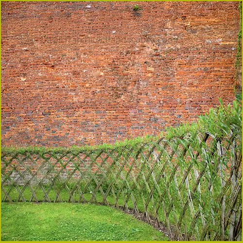 Living plant fence with layered shrubs