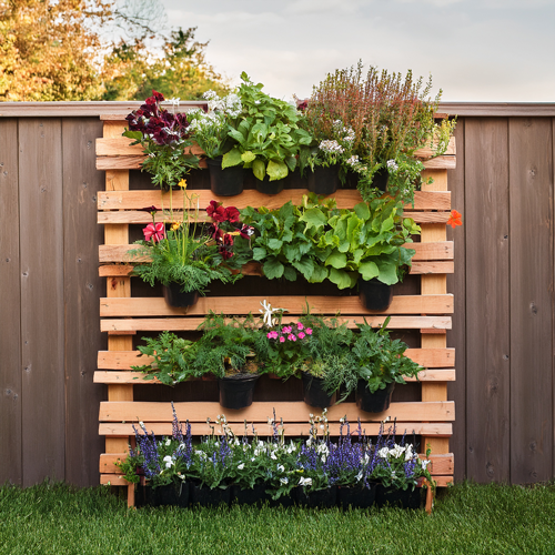 vertical garden 3 Recycled wood pallet